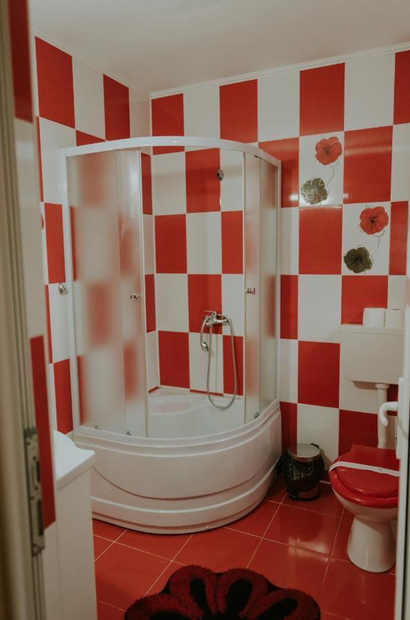 Casa Otilia Hotel Chiscau Екстериор снимка