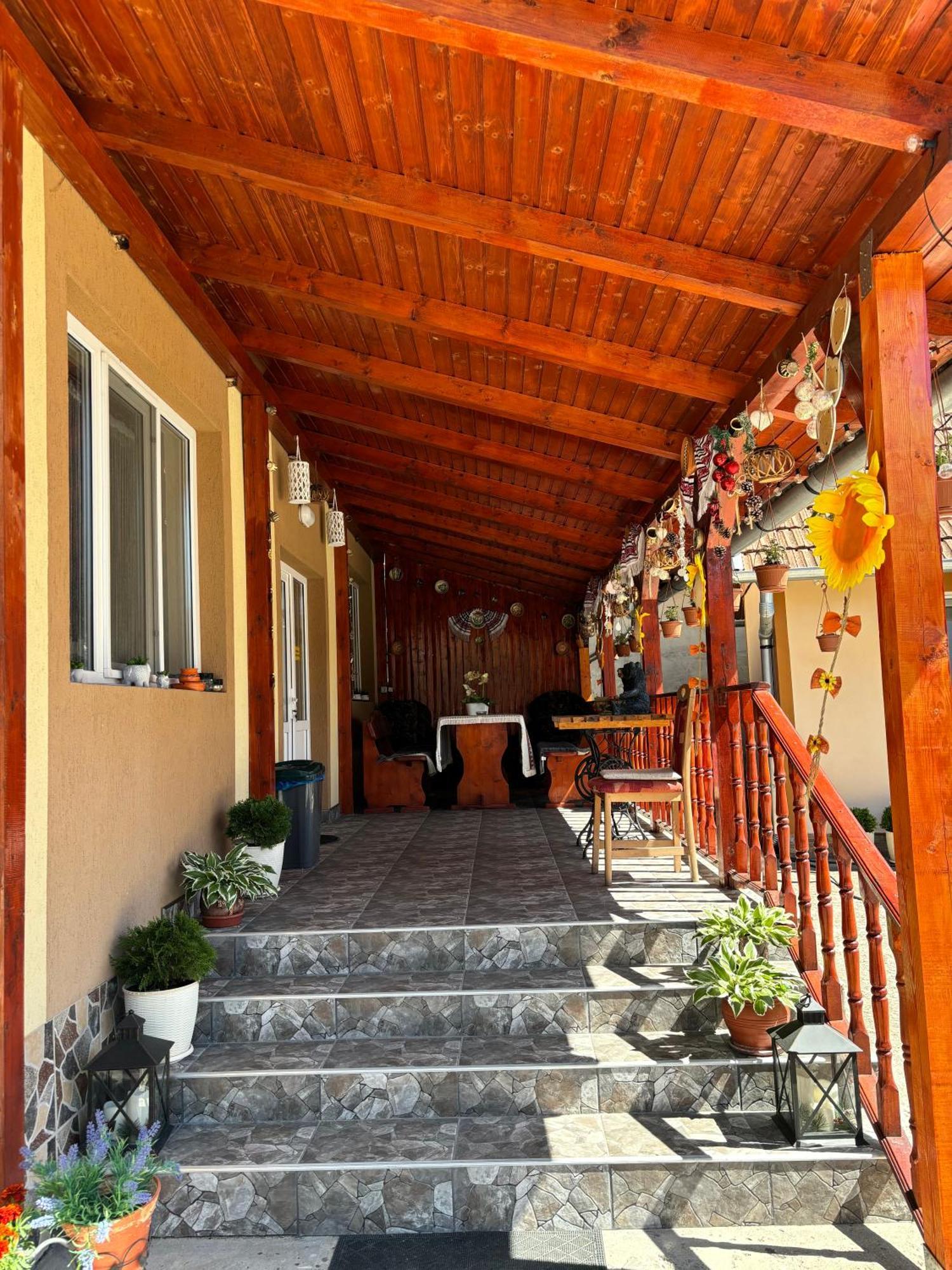 Casa Otilia Hotel Chiscau Екстериор снимка